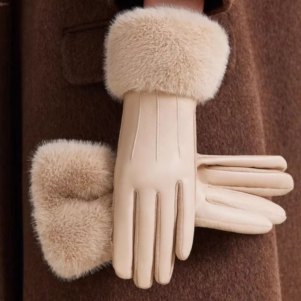 Thermal Lined Women's Leather  - Winter Glove Insulated review and price